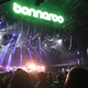 The Bonnaroo music festival in 2015.